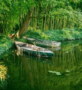 The Garden of Monet Beautiful view of the Garden of Monet in Giverny, France, showcasing vibrant blooming flowers, lush greenery, and the iconic water lily pond with its wooden bridge, reflecting the peaceful atmosphere that inspired the artist.